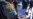 16x9 Image