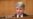 众院外委会共和党人呼吁议长尽快全院表决谴责新疆种族灭绝决议