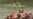 16x9 Image