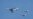 为什么中国派战机进入台湾空域却不攻击?