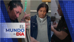 El Mundo al Día (Radio): Soluciones individuales que impactan a millones con inspiración y creatividad