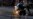16x9 Image