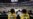 中国官方与球迷对NBA表现矛盾