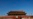 中共统战部扩权 海外渗透引外界担忧